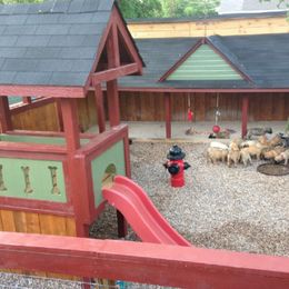 Mastiff Puppies from Lone Star Mastiff