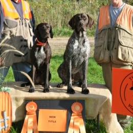 German Shorthaired Pointers from Proud Pine Farm