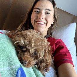Cavapoos, Goldendoodles, Maltipoos, and Poodles from The Golden Rule Doodles and Poos