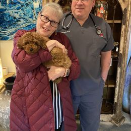 Goldendoodle Puppies from Labradoodleday