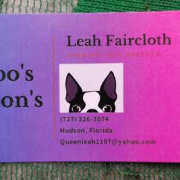 Boston Terrier Puppies from Bobos Bostons