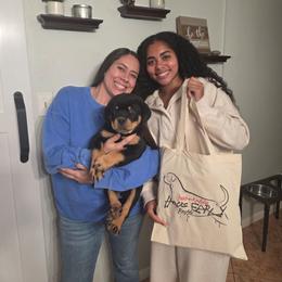 Male 2 - Black and mahogany male Rottweiler puppy in Humble, Texas from Inexorable Haus Early Rotts