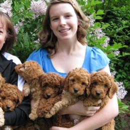 Australian Labradoodles from Aspen Grove Labradoodles