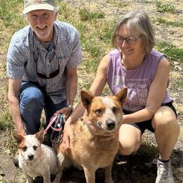 65-03 Cutting - Red mottled female Australian Cattle Dog puppy in Sheridan, Oregon from 6pk Cattledogs