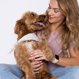 Aussiedoodles, Golden Aussiedoodles, and Goldendoodles from Miami Mini Doodles