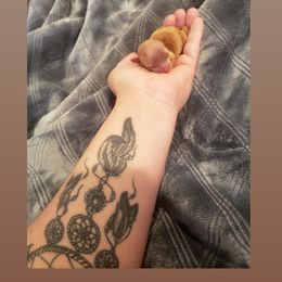 Chihuahua, French Bulldog, and Yorkshire Terrier Puppies from Royalty Tracks 👑🐾