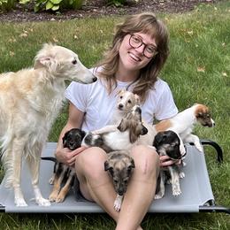 Silken Windhound puppies from Cadence Silken Windhounds