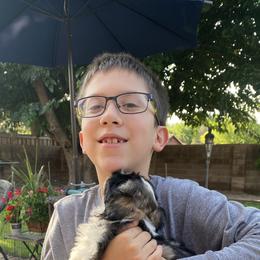 Shih Tzu Puppies from Willow Lane Shih Tzus