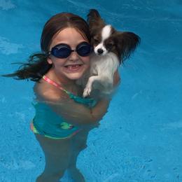 Papillon Puppies from A Breed Apart Papillons
