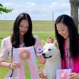 Jindos from Hwarang Kennel Korean Jindo | 화랑 진돗개