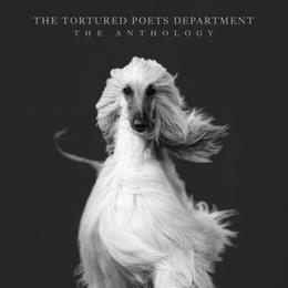 Ruby - Afghan Hound