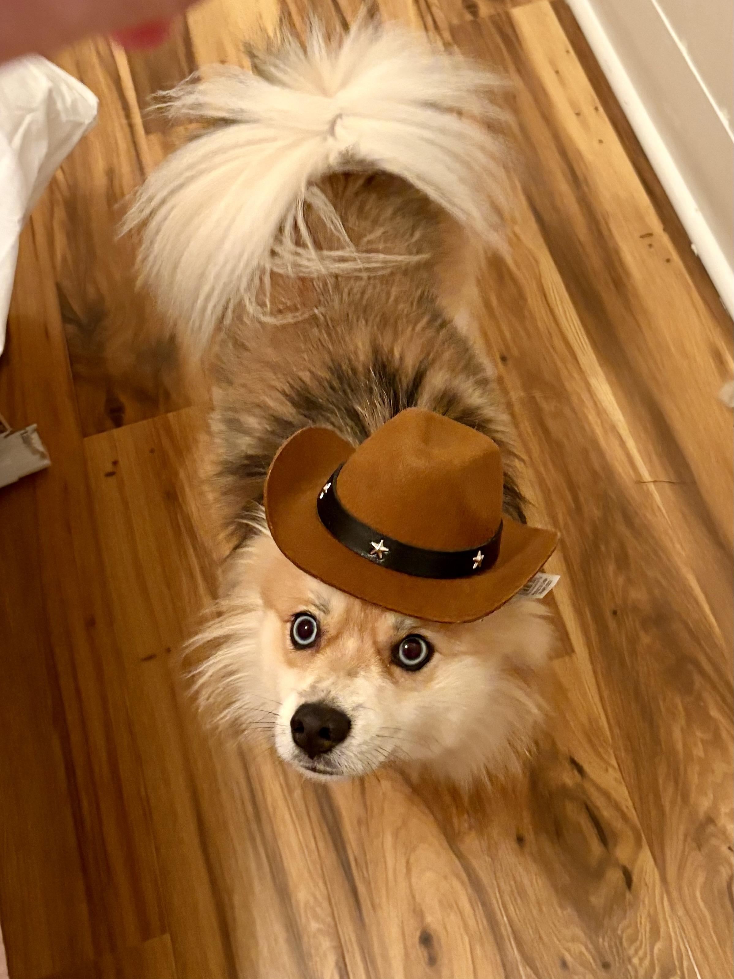 Cowboy