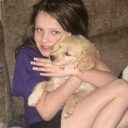 Toby - Apricot male Goldendoodle puppy in Waynesboro, Virginia from Forest Creek Kennel