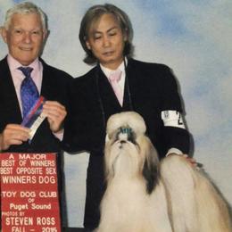 Shih Tzus from Kylin Shih Tzu