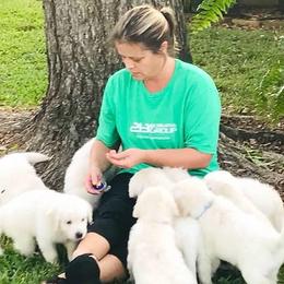 Golden Retriever Puppies from Golden Dust Retrievers