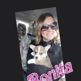 Pembroke Welsh Corgi Puppies from CB Corgis