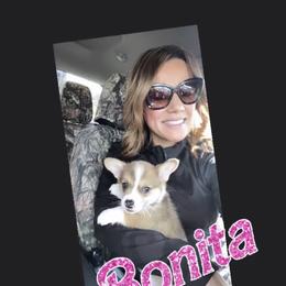 Pembroke Welsh Corgi Puppies from CB Corgis