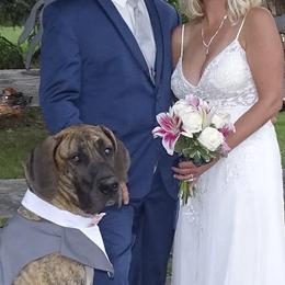 Great Danes from Bull West Kennels
