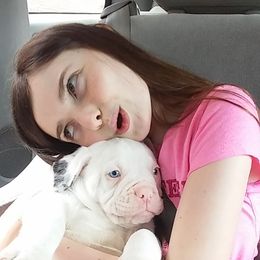 Alapaha Blue Blood Bulldog Puppies from Eclipse Alapaha Kennels