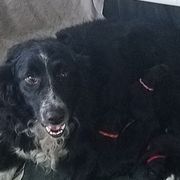 Sammie - Sporty Mix