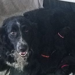 Sammie - Sporty Mix