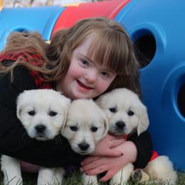 German Shepherd and Golden Retriever Puppies from Sweetheart Therapy Dogs LLC