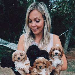 Cavapoo, Cockapoo, Goldendoodle, and Maltipoo Puppies from Perdue Puppies