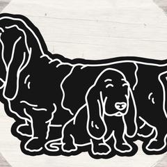 Basset Hounds from Head of River Barn