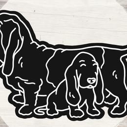 Basset Hounds from Head of River Barn