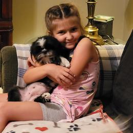 Shih Tzu Puppies from Sugar Paws Heavenly Shih Tzu’s