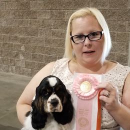 Cocker Spaniel Puppies from Gold-Coast Cockers
