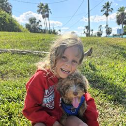 Bernedoodle, Goldendoodle, and Poodle Puppies from Beach Doodles