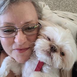 Shih Tzu Puppies from Sugar Paws Heavenly Shih Tzu’s