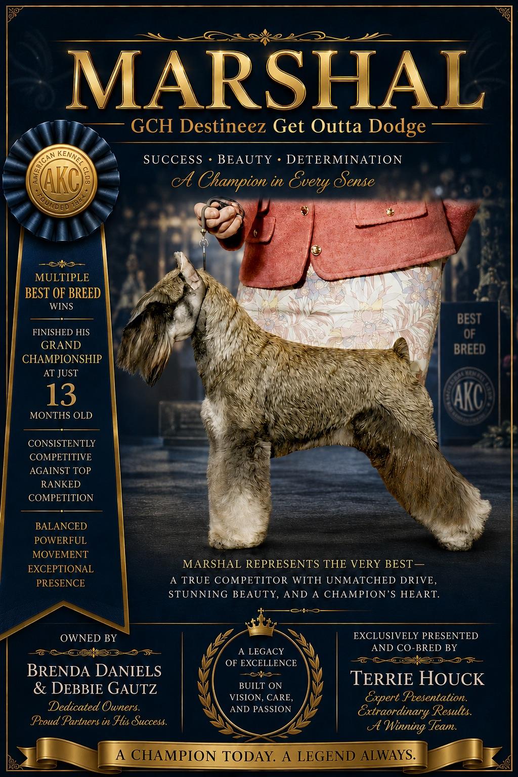 Marshal (AKC GRAND CHAMPION)