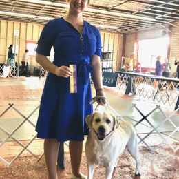 Labrador Retrievers from Lucky Penny Labrador Retrievers