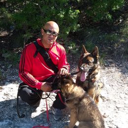 German Shepherd Puppies from Guamany K9 Vomhaus