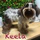 Keela