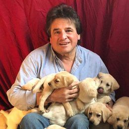 Labrador Retrievers from Edward Swantkoski