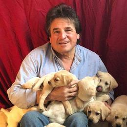 Labrador Retrievers from Edward Swantkoski