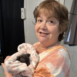 Chihuahua and Poodle Puppies from Garrett’s Chihuahuas and Poodles