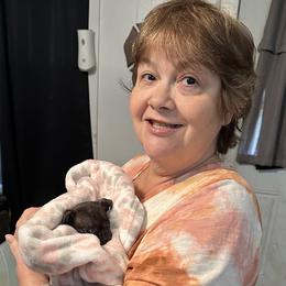 Chihuahua and Poodle Puppies from Garrett’s Chihuahuas and Poodles