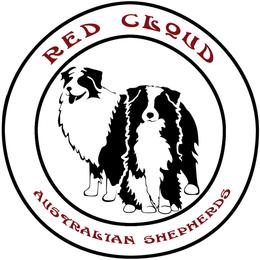 Australian Shepherds and Great Danes from Red Cloud Australian Shepherds and DeGray Great Danes & Bulldogs