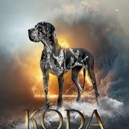 Koda - Great Dane