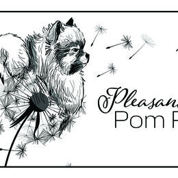 Pomeranians from Pleasant Lake, Pom Pups