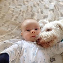 Lagotto Romagnolo Puppies from Fino Lagotto