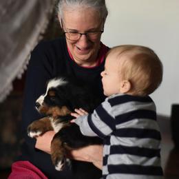 Bernese Mountain Dog and Pembroke Welsh Corgi Puppies from Highland Meadows