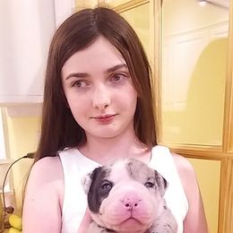 Alapaha Blue Blood Bulldog Puppies from Eclipse Alapaha Kennels