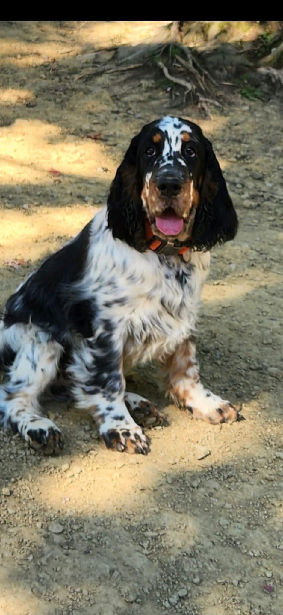 Milo