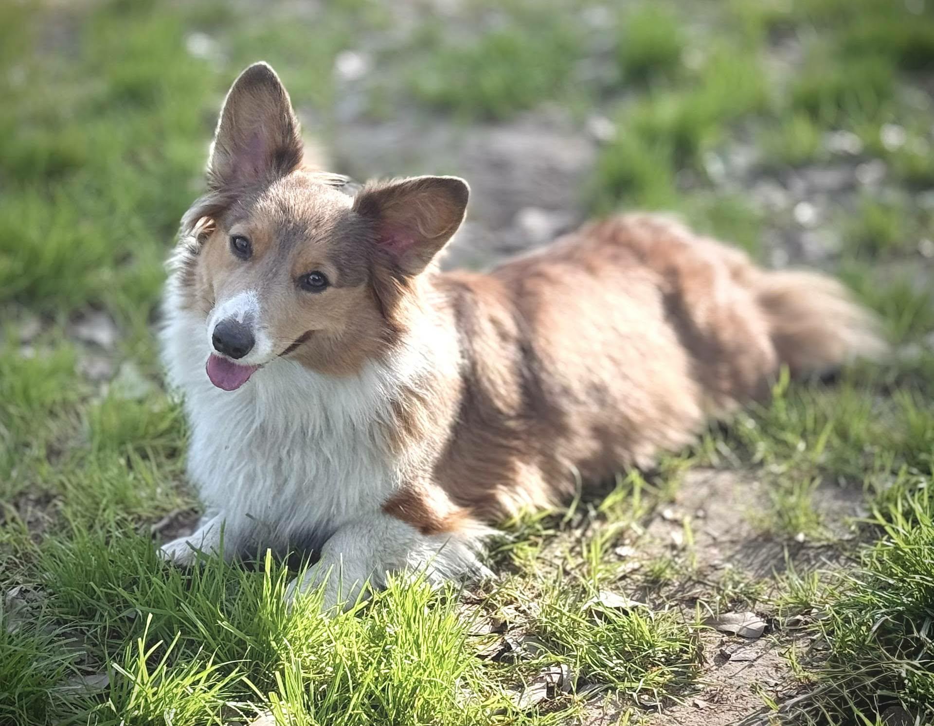 Freya