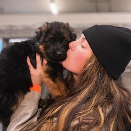 German Shepherd Puppies from Aus Dem Meer